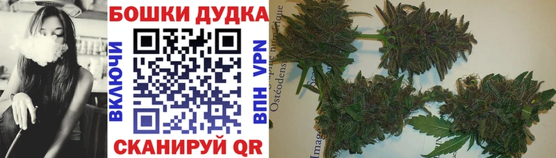 Купить наркоту Киренск Галлюциногенные грибы  Амфетамин  Гашиш  Меф мяу мяу  А ПВП  Канабис 