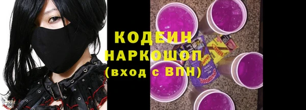 спиды Бородино