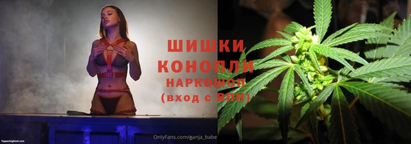 спиды Бородино