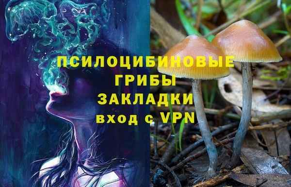 герыч Бугульма