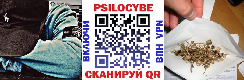 дарнет шоп  Киренск  Псилоцибиновые грибы ЛСД 